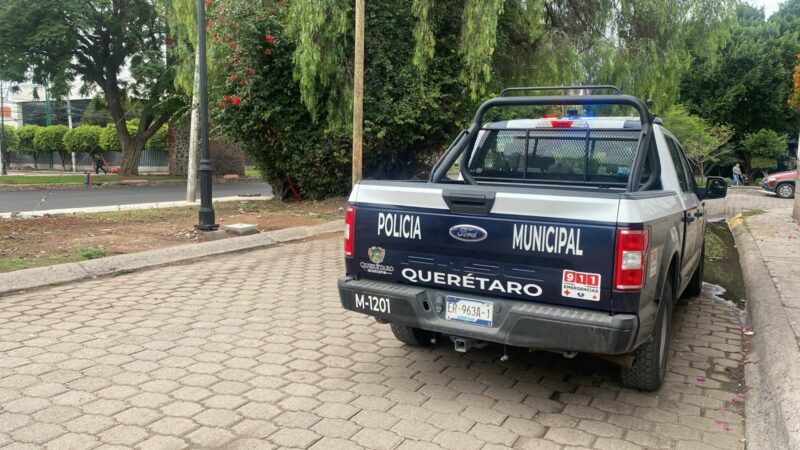Secretaría de Seguridad Pública Municipal detiene a 91 Personas en Querétaro durante la Última Semana