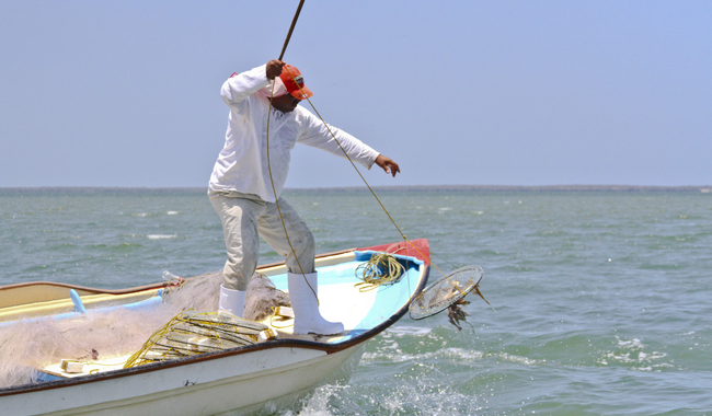 México celebra el Día Mundial de la Pesca y reconoce a sus pescadores