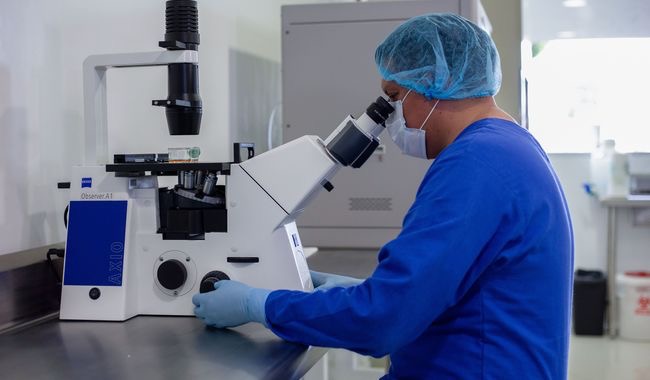 México lucha contra la resistencia a los antimicrobianos: Senasica impulsa acciones en el sector agropecuario