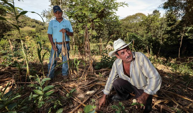 México celebra la Semana de los Suelos y refuerza su compromiso con la producción sostenible de alimentos