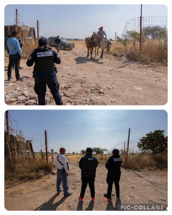 ¡Frenarón carrera clandestina en El Marqués! Autoridades evitan evento sin permisos