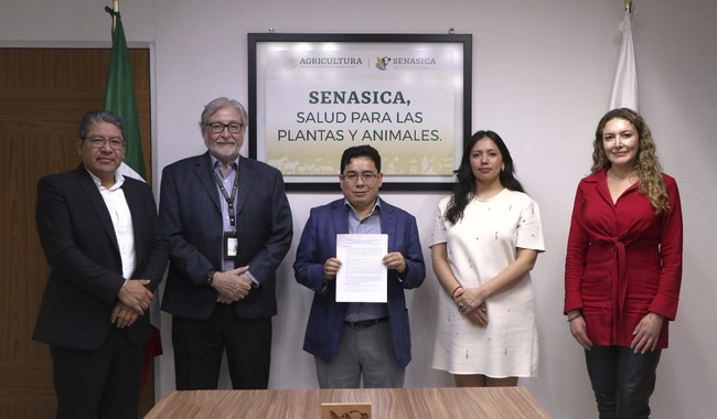 ¡Buenas noticias para el sector ganadero! México reanuda exportaciones de ganado a Estados Unidos