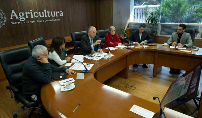 Unen fuerzas para combatir incendios: Agricultura y Conafor capacitan a 64 municipios clave en el país
