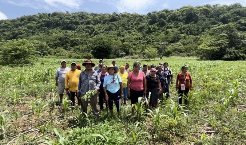 Gobierno fortalece a mas de 2 millones de campesinos con el programa Producción para el Bienestar