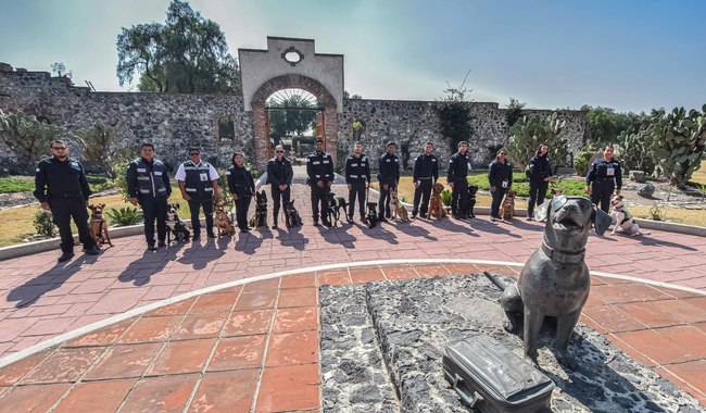 13 Caninos especializados fortalecen la vigilancia sanitaria en puertos y fronteras de México