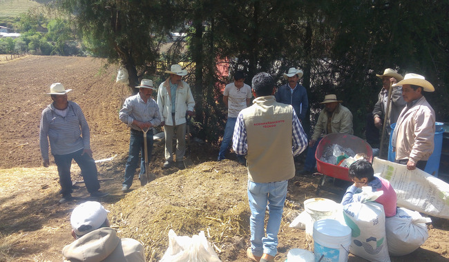 Gobierno de México fortalece el campo con inversión histórica en agricultura