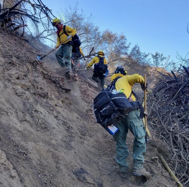 Brigadas mexicanas siguen realizando labores de contención y búsqueda en incendios de California