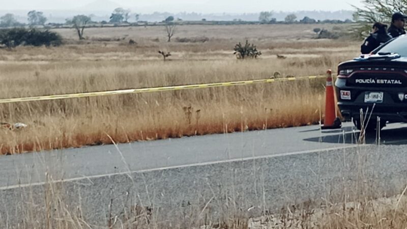 Hallan en Amealco cuerpo de joven con impactos de bala