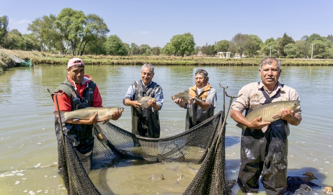 Bienpesca inicia pagos más de 168 mil pescadores recibirán 7,500 pesos