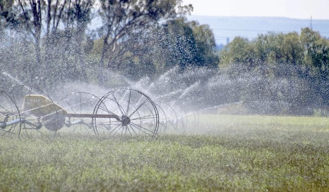 Gobierno apoya a agricultores con subsidio a la energía eléctrica última semana para inscribirse