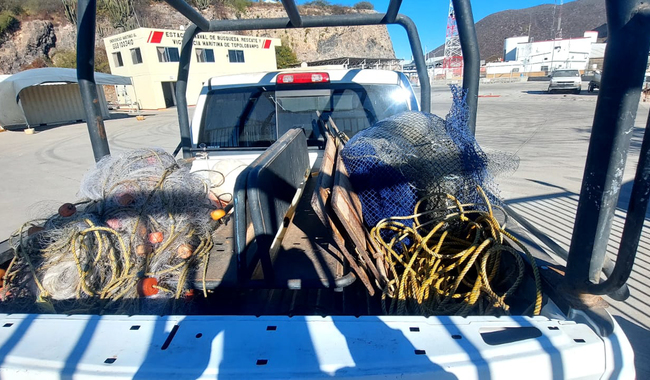 Cae red de pesca ilegal Agricultura y Marina decomisan 86 toneladas de producto marino en operativos coordinados