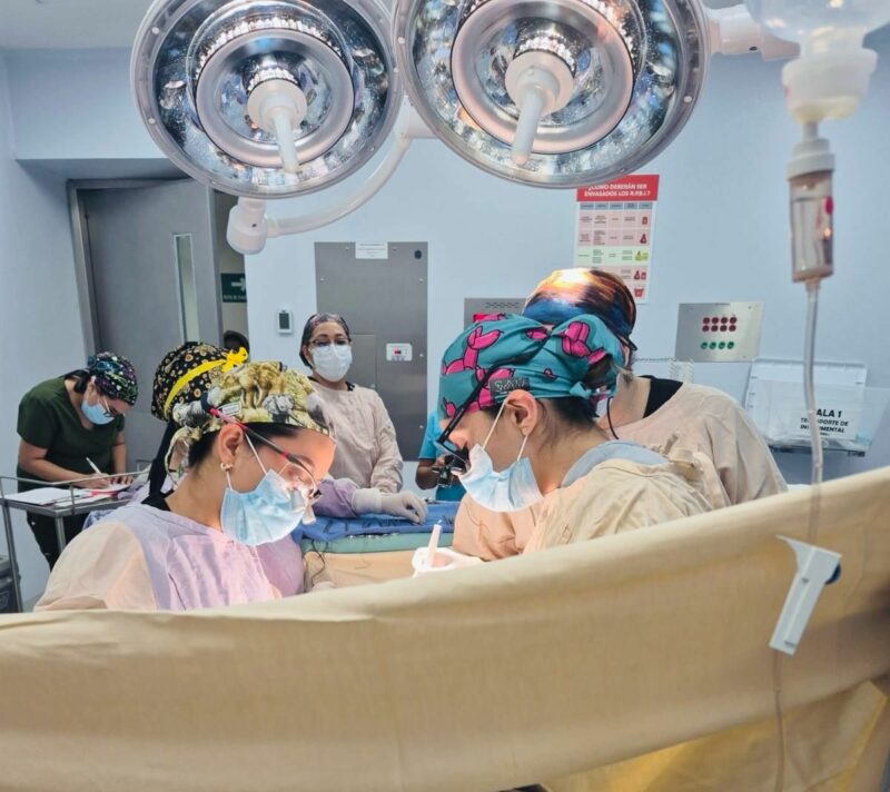 Generosidad salva una vida exitoso el primer trasplante pediátrico del 2025  en Querétaro