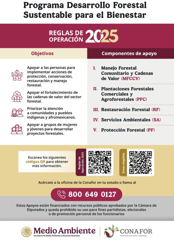 Conafor presenta programa de desarrollo forestal sustentable 2025