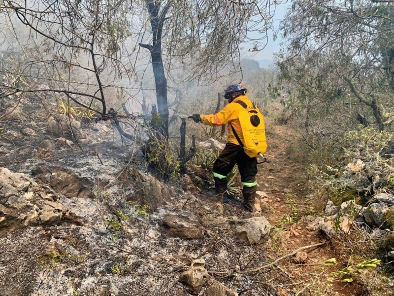 Lucha contra el fuego el 55% de control en incendio forestal de la comunidad La Tinaja Querétaro