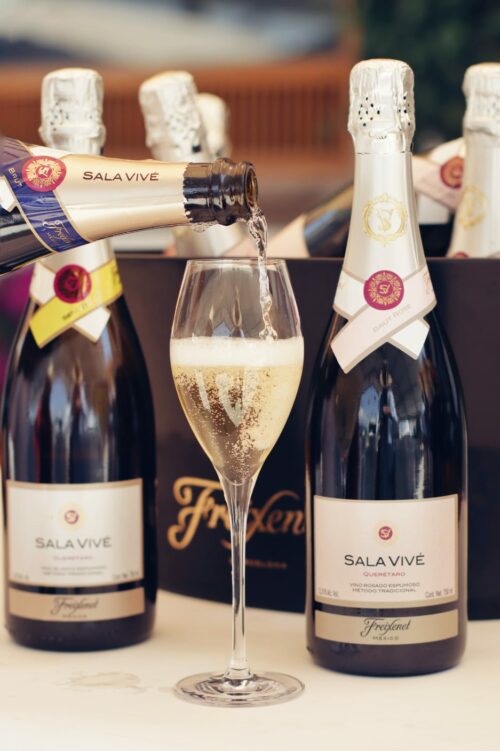 Bubbles Fest 2025 Viñedos Sala Vivé te invita a un fin de semana con vino espumoso, música y gastronomía