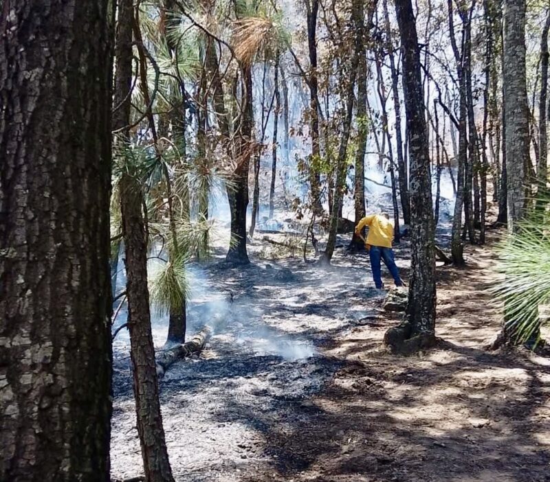 Incendios devastan más de 2,700 Hectáreas en Querétaro superando 2.5 veces la afectación del año pasado