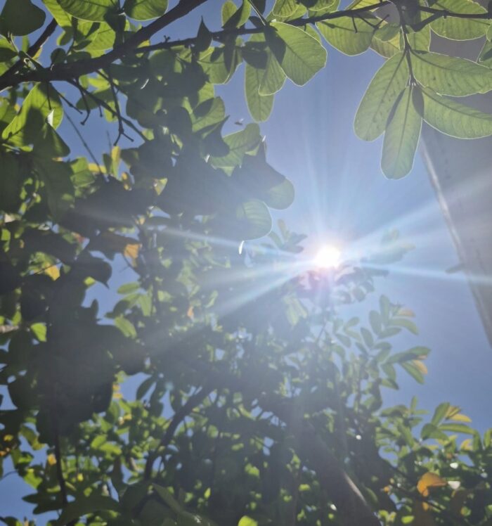Termina el frío llega el calor Protección Civil alerta por altas temperaturas en el estado
