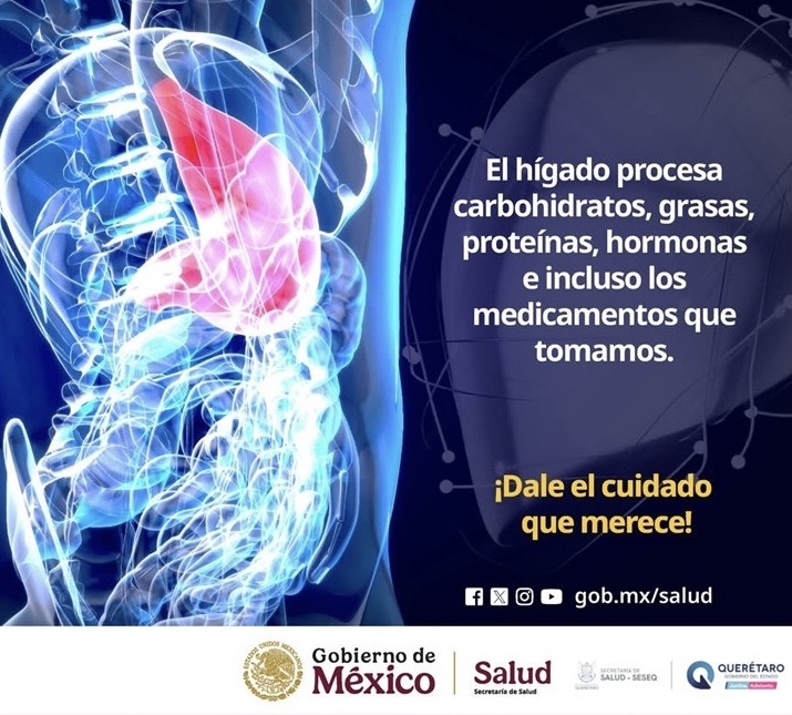Tu hígado es vida SESA Querétaro se suma al Día Mundial con un mensaje crucial la comida es medicina