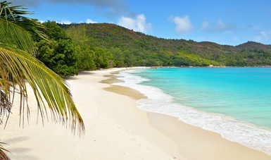 Playas seguras en Semana Santa Cofepris revela la calidad del agua en destinos turísticos
