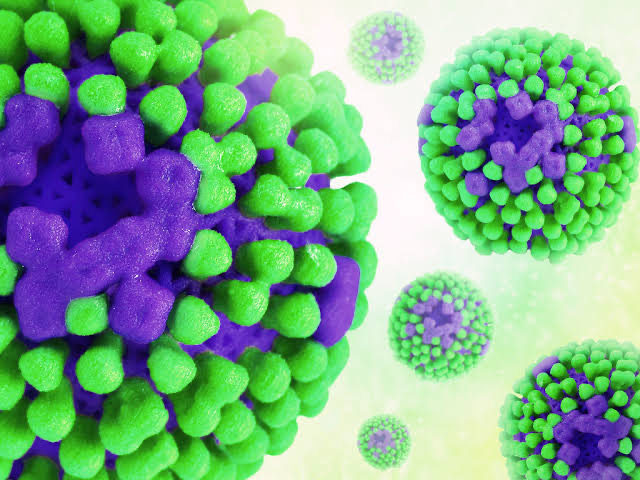 Querétaro refuerza vigilancia epidemiológica tras caso de influenza aviar