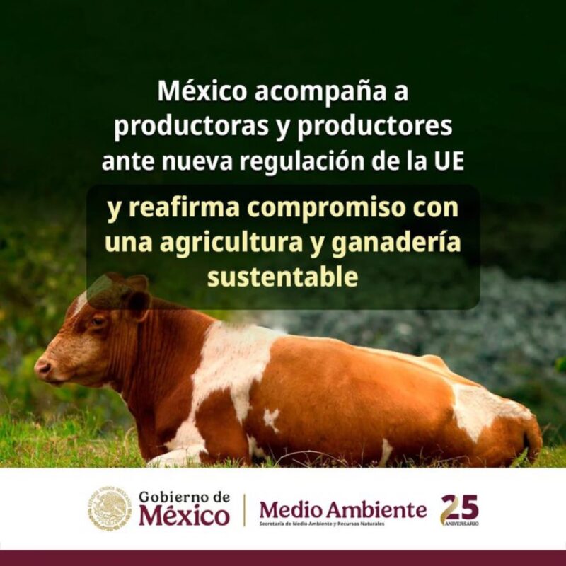 Exportar sin deforestar México refuerza medidas para cumplir con nuevas reglas de la Union Europea