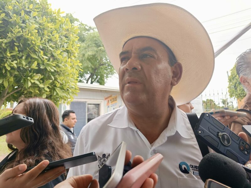 Campo queretano florece sequía queda atrás con la llegada de las abundantes lluvias