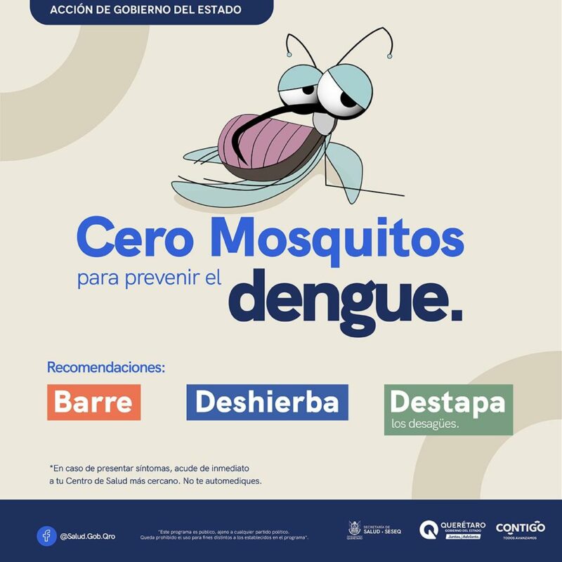 Cuidado con el dengue Querétaro refuerza medidas y te pide ayuda para combatirlo