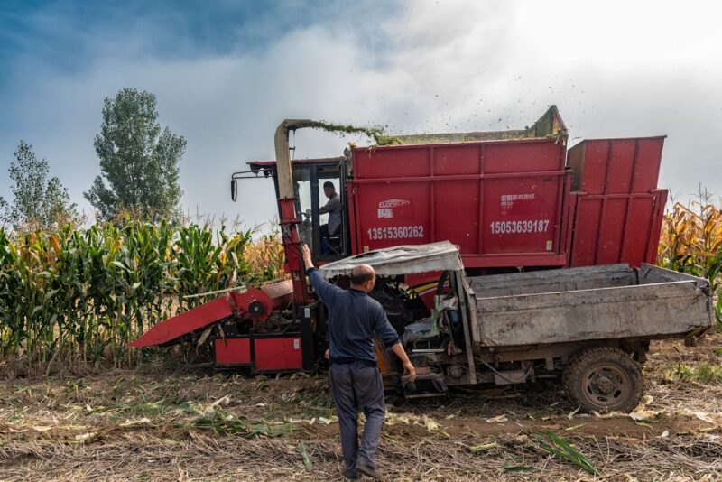 Apoyo al campo Agricultura lanza Plan Nacional para comercialización justa de maíz en 8 estados