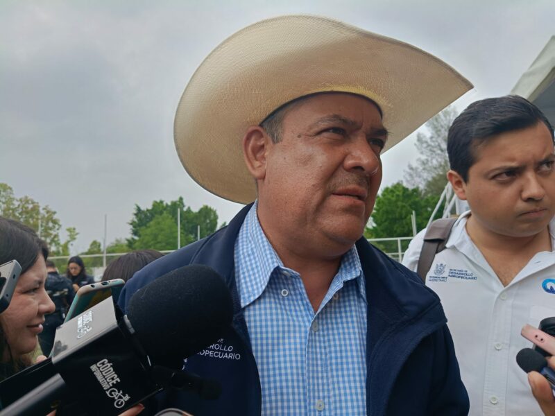 Alerta en el sector agrícola inundaciones afectan a cientos de hectáreas en Querétaro el maíz es el mas impactado