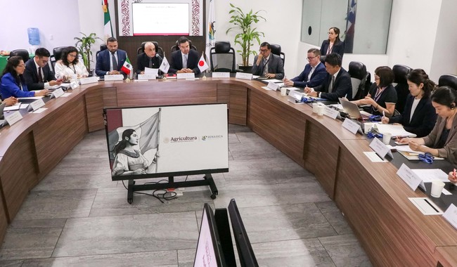 Japón avala exportación de aguacate y cárnicos mexicanos tras auditoría sanitaria