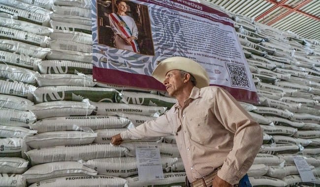 Amplían convocatoria del programa Fertilizantes para el Bienestar 2025 en 20 estados