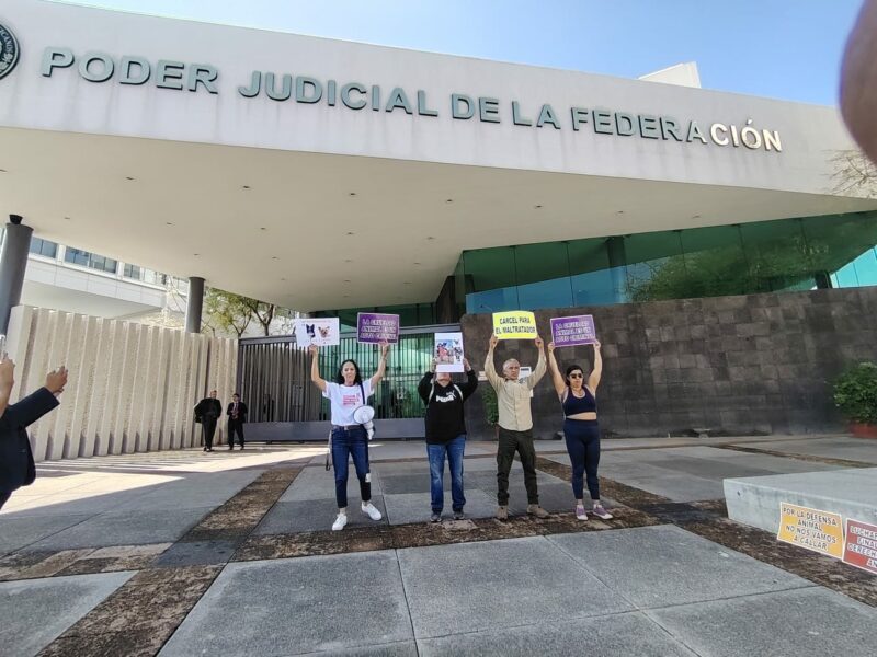 Ciudadanía exige pena máxima por caso de Athos y Tango